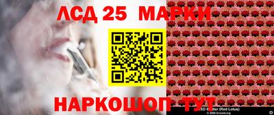 гидропоника Славгород