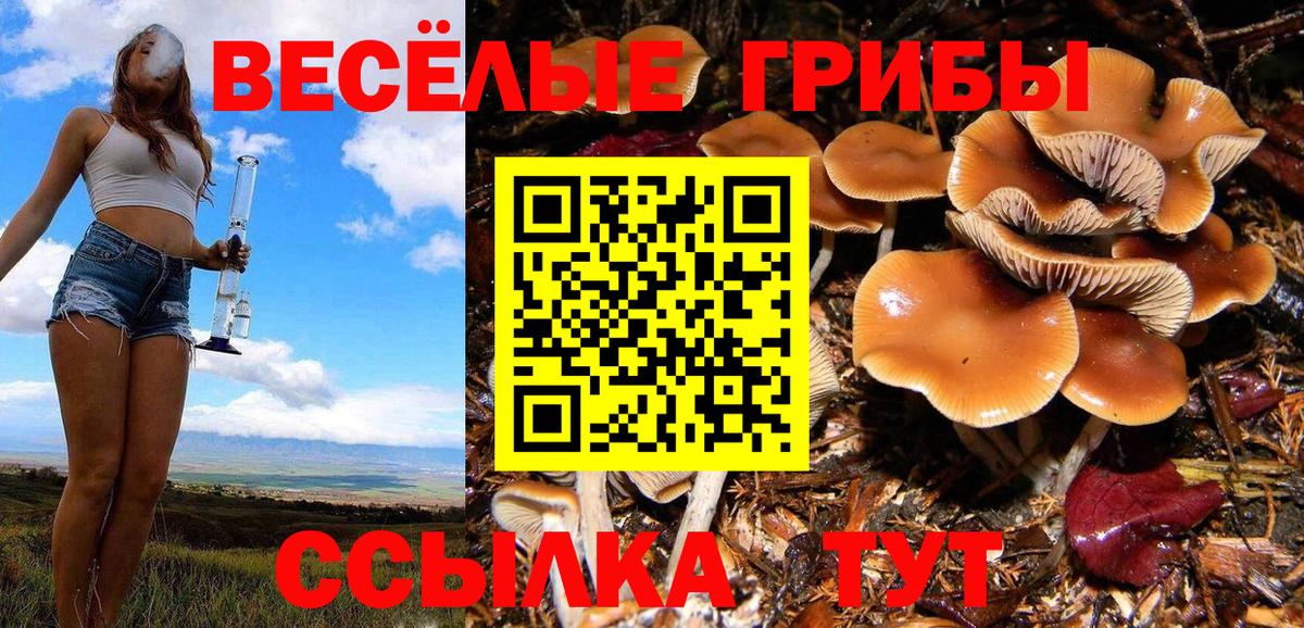 Псилоцибиновые грибы Magic Shrooms Анжеро-Судженск