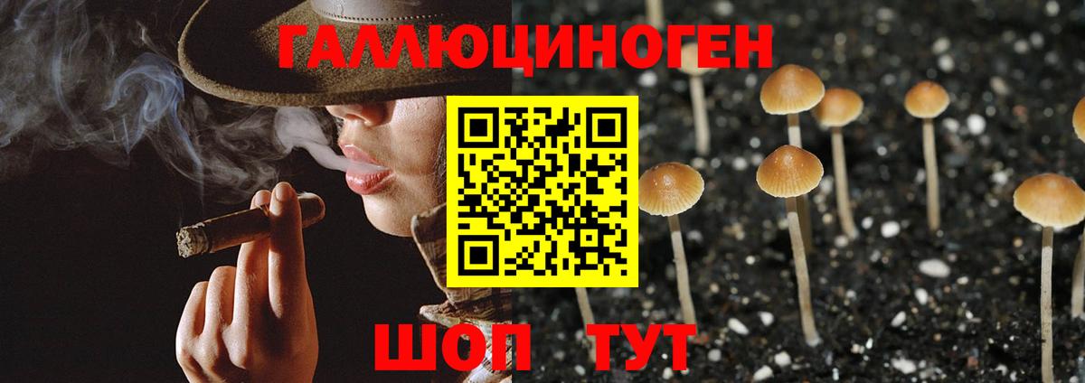 Анжеро-Судженск  Псилоцибиновые грибы MAGIC MUSHROOMS  Вход с VPN  Псилоцибиновые грибы MAGIC MUSHROOMS 