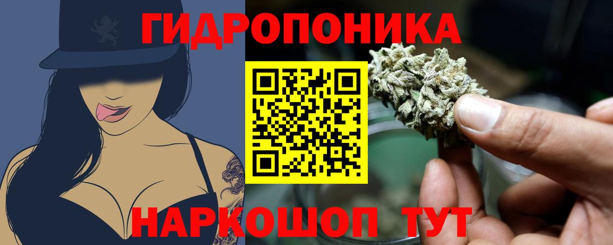 Марихуана Bruce Banner  Вход с VPN  Марихуана семена  Анжеро-Судженск  Бошки Шишки ГИДРОПОН 